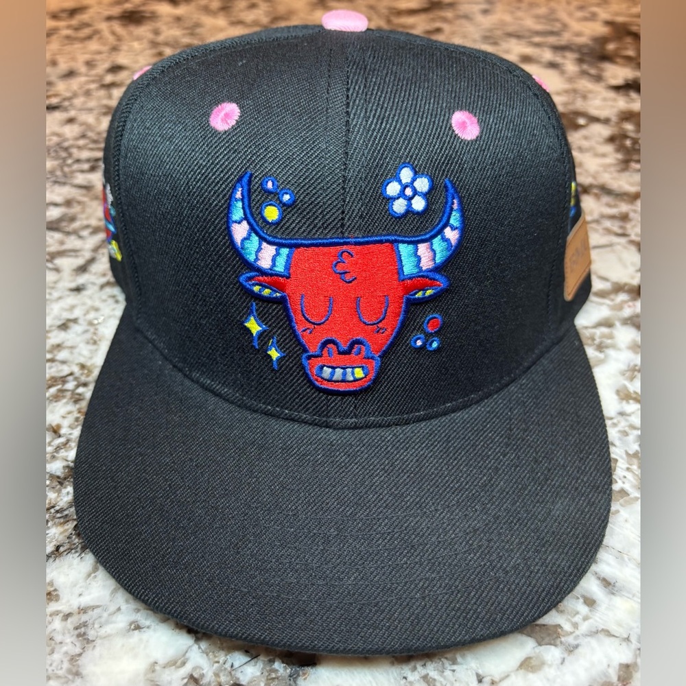 Chicago Bulls Hat